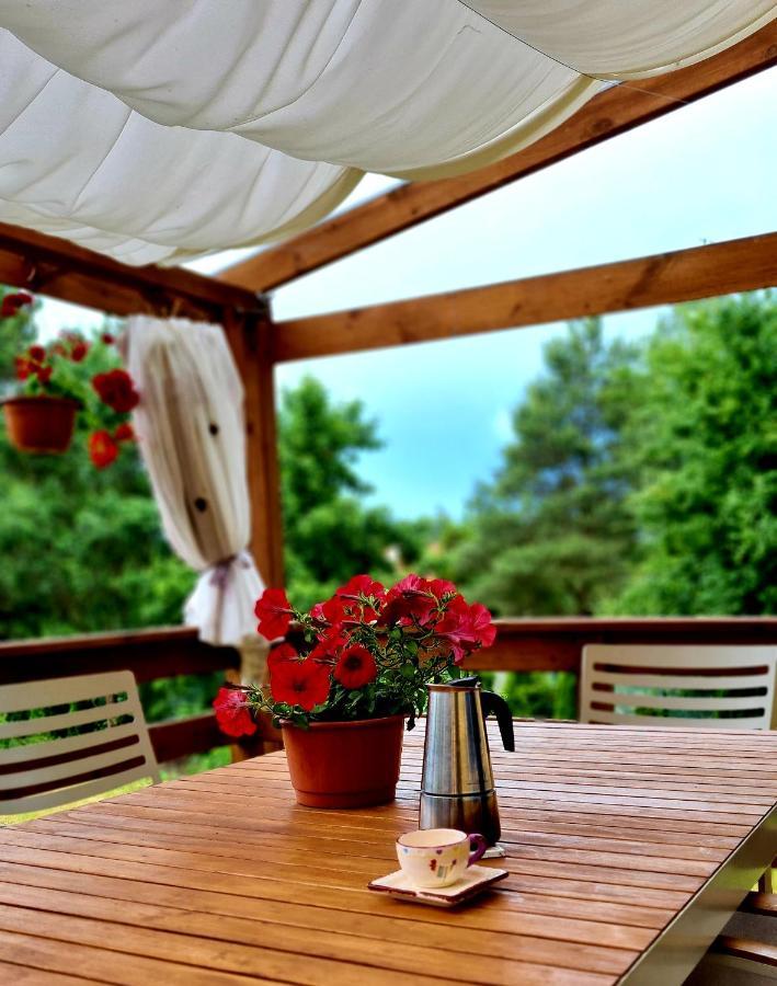 Trasa S7 W 2H Z Warszawy I Gdanska, Jadamowo Holidaymazury, Jacuzzi, Jezioro 奥尔什蒂内克 外观 照片